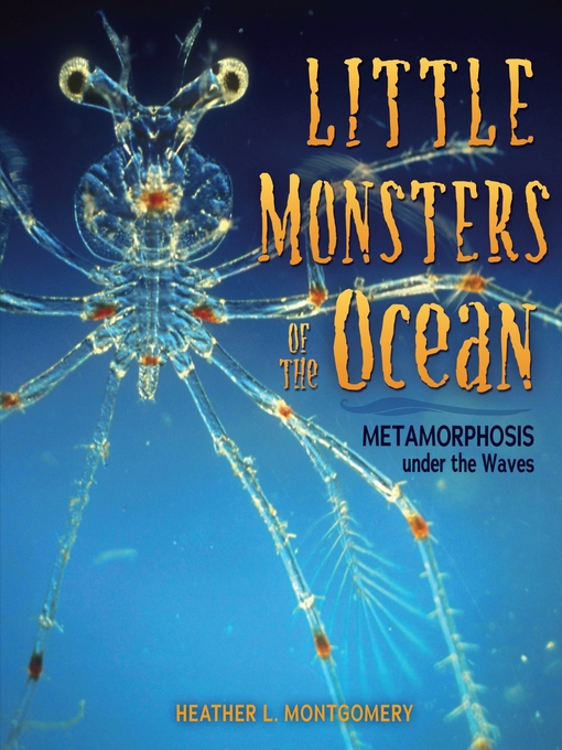Cover of Little Monsters of the Ocean